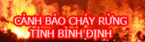 Cảnh báo cháy rừng tỉnh Bình Định