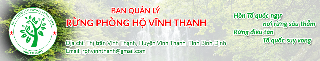 Rungphonghovinhthanh.com